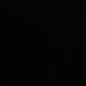 Meet your Posher, Jodi